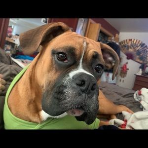 Meet your Posher, Robert